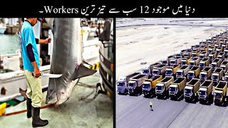 12 Most Fastest Workers On Earth | دنیا کے سب سے تیز ترین ورکرز | Haider Tv