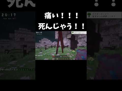 痛い！！！死んじゃう！！#マイクラ #ゲーム実況 #天使 #痛い