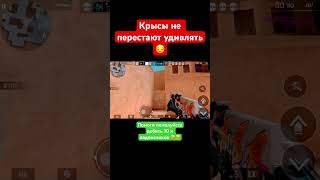 У кого жиза? #vladmix #standoff2 #дефолт