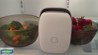 'Shelfy' device claims to keep produce fresh for longer; Heather Sullivan tests it out