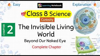 Class 8 The Invisible Living World | Class 8 Science Curiosity Chapter 2