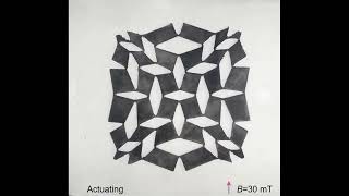 Physics-aware differentiable design of magnetically actuated kirigami for shape morphing: Video 2