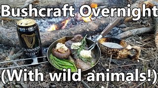 Bushcraft Overnighter - Fire, Food, Fauna, Oh My!