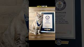 WORLD’S RICHEST CAT 🤯 NALA STORY ZAONFACT