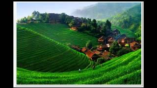 Teresa Teng Condor pasa 鄧麗君   舊夢何處尋 andean music chinese cover