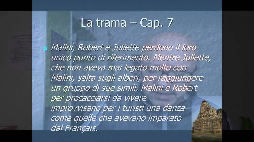 Amata per caso di Stefano Zecchi - Luigi Gaudio