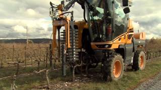 Pruner Visio Optimum