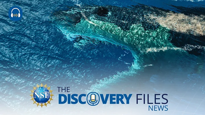 Why Did Megalodon Go Extinct? #news #science #megalodon