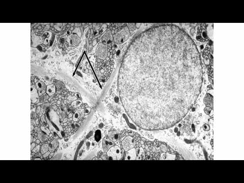 A Systems Toxicology