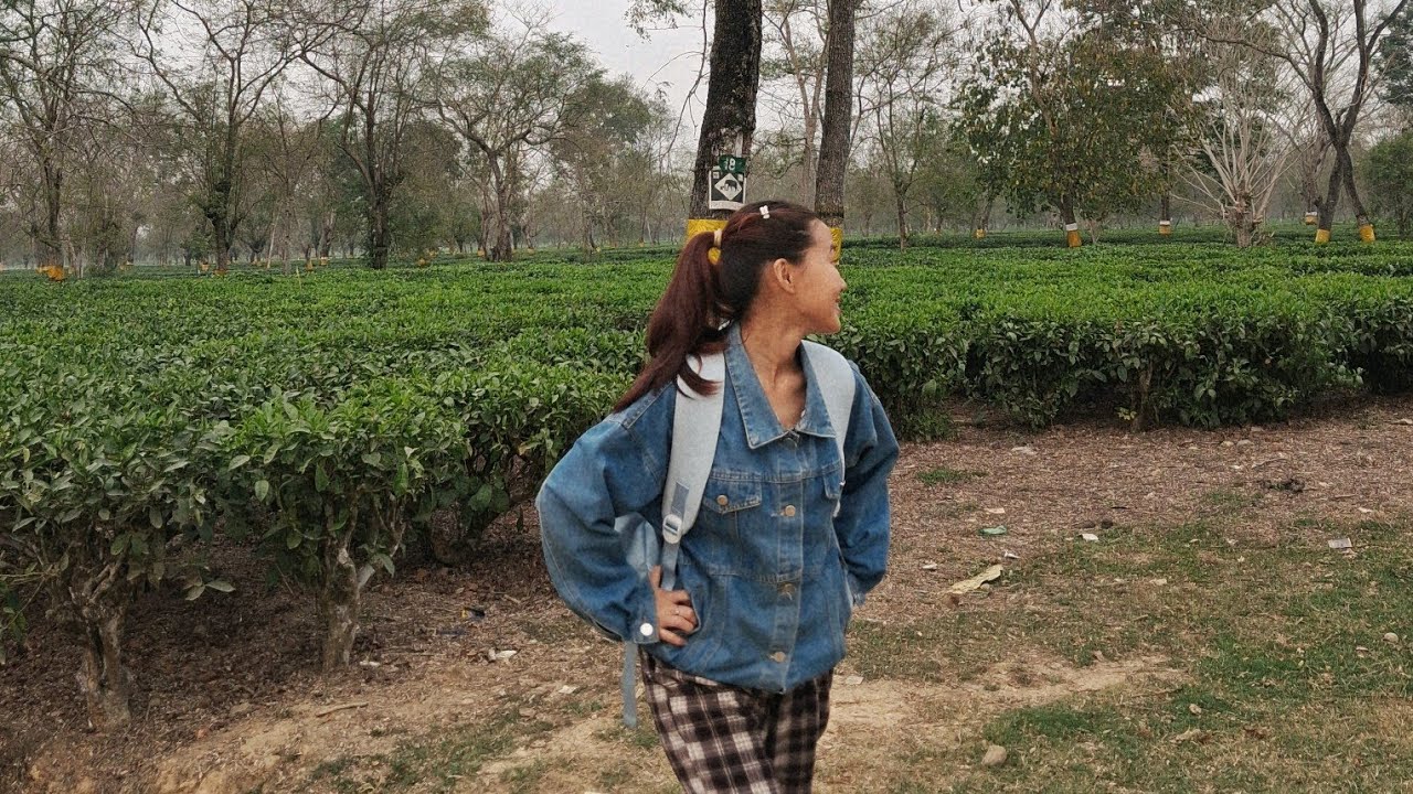 My Digital journaling! 📍Assam #myfirstvlogonyoutube #glimpseofmylife #teagarden #scootyride . 