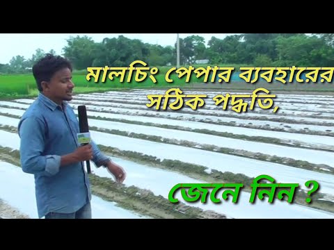 ভিডিও: কীভাবে গ্রিনহাউস সঠিকভাবে তৈরি করা যায়