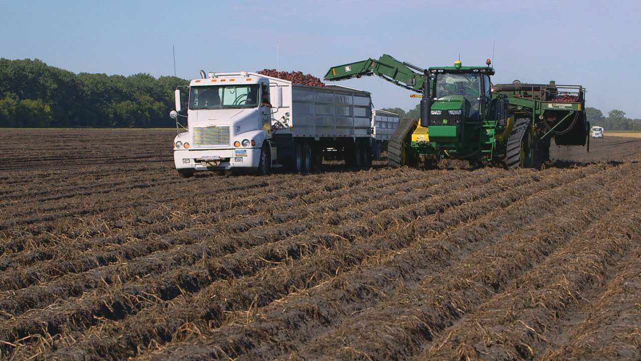 Campbell Farms YouTube