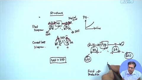 System Dynamics Example