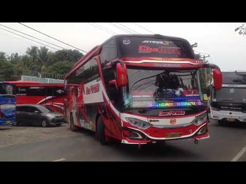 telolet bus versi burung puyuh menggema #bismania #pariwisata