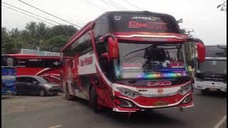 telolet bus versi burung puyuh menggema #bismania #pariwisata