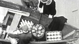 Mad Ohio, The (1937)