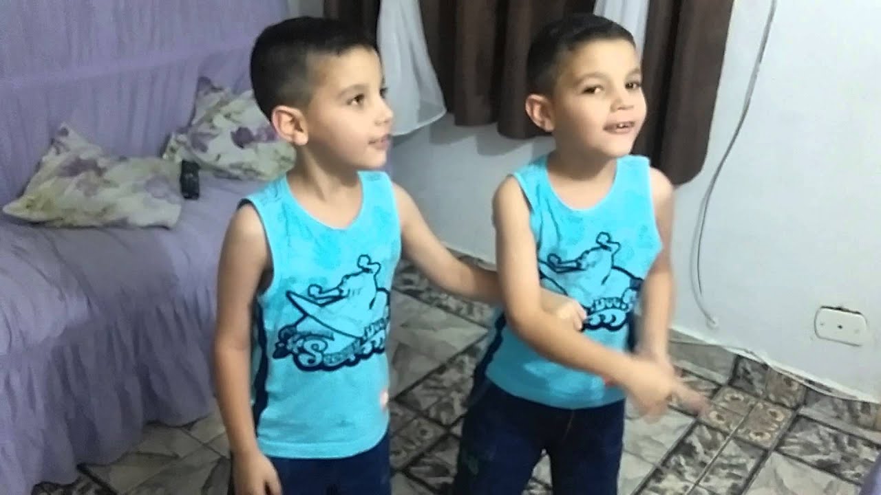 Gemeos Que Nao Sao Iguais - FDPLEARN