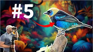 5 More Birds That Will BLOW Your Mind!