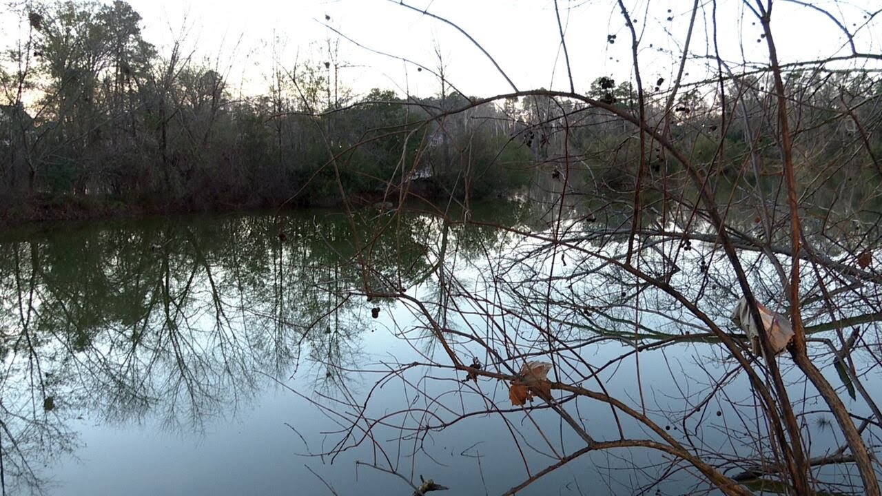 North Augusta anglers oppose fishing ban at Brick Pond Park