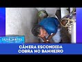 Cobra No Banheiro Câmeras Escondidas 21 07 23