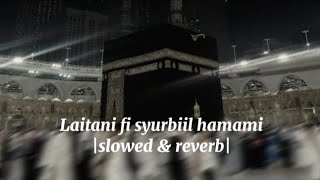 Laitani Fi Syurbil Hamami 🎧|Slow & Reverb| Arabic Nasheed🤍