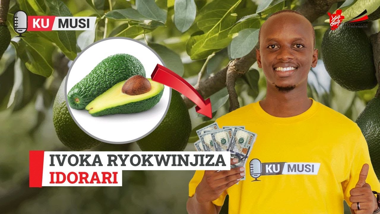 Ivoka ryokwinjiza idorari