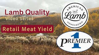 Lamb Quality Video Series:  Retail Meat Yield