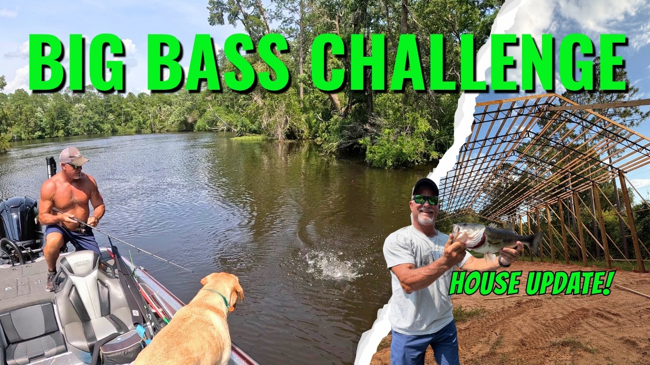 Perdido River BIG Bass Challenge / Boat GARAGE Update!!