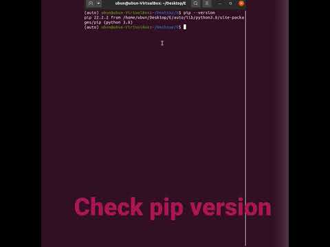 Check python pip
