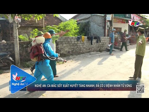 Video Nghệ An: Ca mắc sốt xuất huyết tăng nhanh, đã có 2... - YouTube