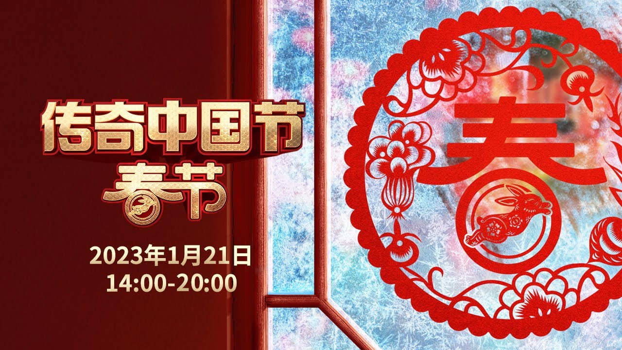票房排行榜中的隐藏宝藏与观影指南