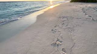 Soneva Fushi Maldives Villa 16 Crusoe Suite With Pool Follow Sunrise .