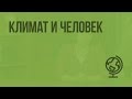 Климат и человек. Видеоурок по географии 8 класс