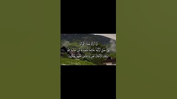لا تنسوا ذكر الله | القارئ علي جابر | سورة الحشر | الآية 21 #علي_جابر  #سورة_الحشر#اكسبلور #قرآن