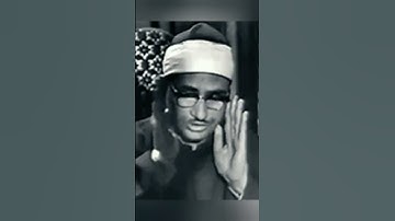 و الله بصير بما تعملون | سورة الحجرات #المنشاوي