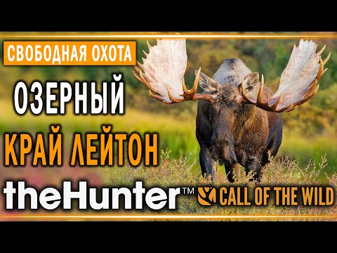 theHunter Call of the Wild #2 ? - Озерный Край Лейтон (часть 1) + 2 БРИЛЛИАНТА - Свободная Охота