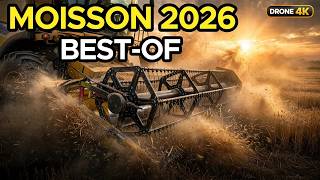 MOISSON 2026 en France - Le best-of de ma 5ème saison.