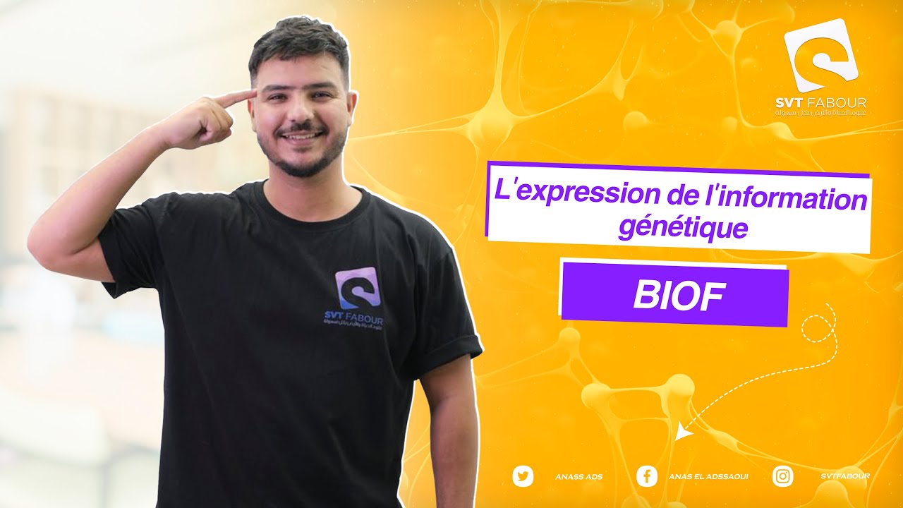 svt fabour : information génétique part 1