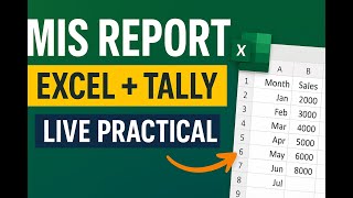 MIS Report Practical Excel Formulas with Tally Data | Party-Wise & Month-Wise Analysis Formulas