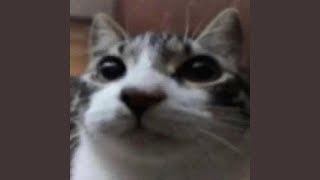 TWELVE TWENTY FIVE Profile