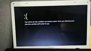 Woody Screaming Has Bsod Has Bsod Has Bsod Has Bsod Has Bsod