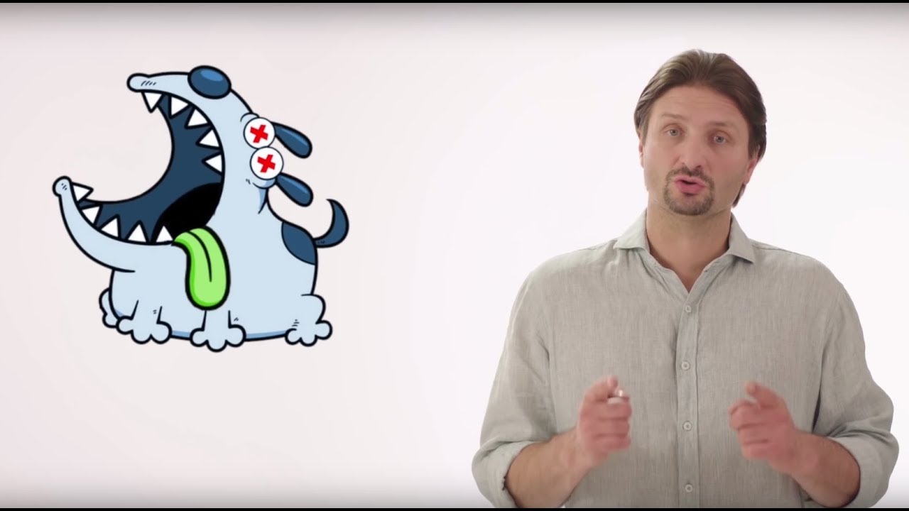 что делать, если собака ест