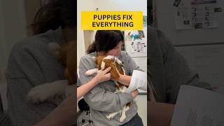 Puppies fix everything