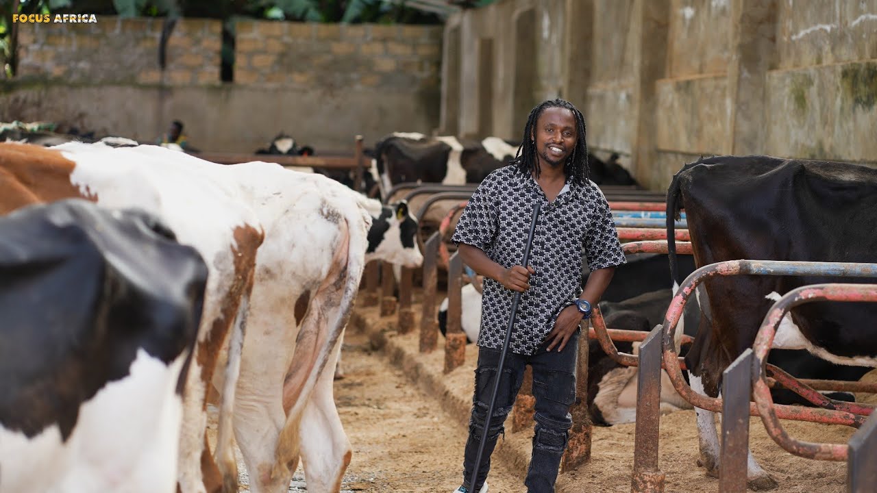 Давайте изучим искусство молочного животноводства