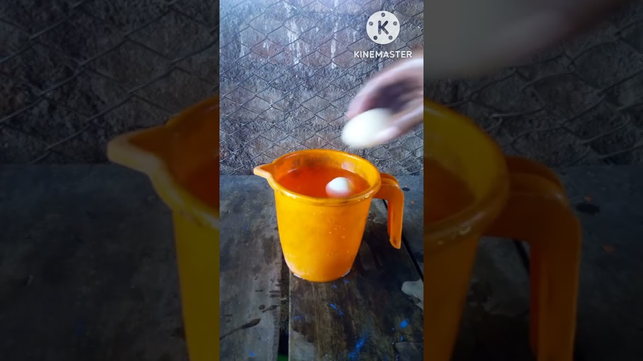 GOOD EGG AND BAD EGG 🥚 KO PAHCHANNE KA LIFE HACKS 