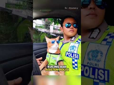 Pertemuan Tak Sengaja Membuat Mereka Menjadi Teman Sejati🥺❤️