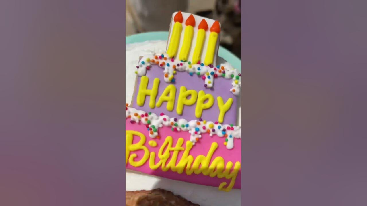 that-s-just-my-baby-dog-happybirthday-germanshepherd-youtube