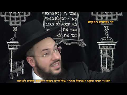 כוח הדיבור הגאון הרב יעקב ישראל הכהן שליט"א זוהר פרשת פנחס תשפ"ה