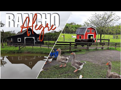 Fazendinha Rancho Alegre - Lugar para descansar com a família - turismo Rural parte 02