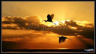 Stanley Clarke / Howard Hewett / Fantasy Love